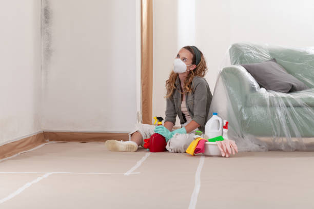 Reliable Mold Cleanup contractor in Fruitport, MI by Cheap Mold Removal